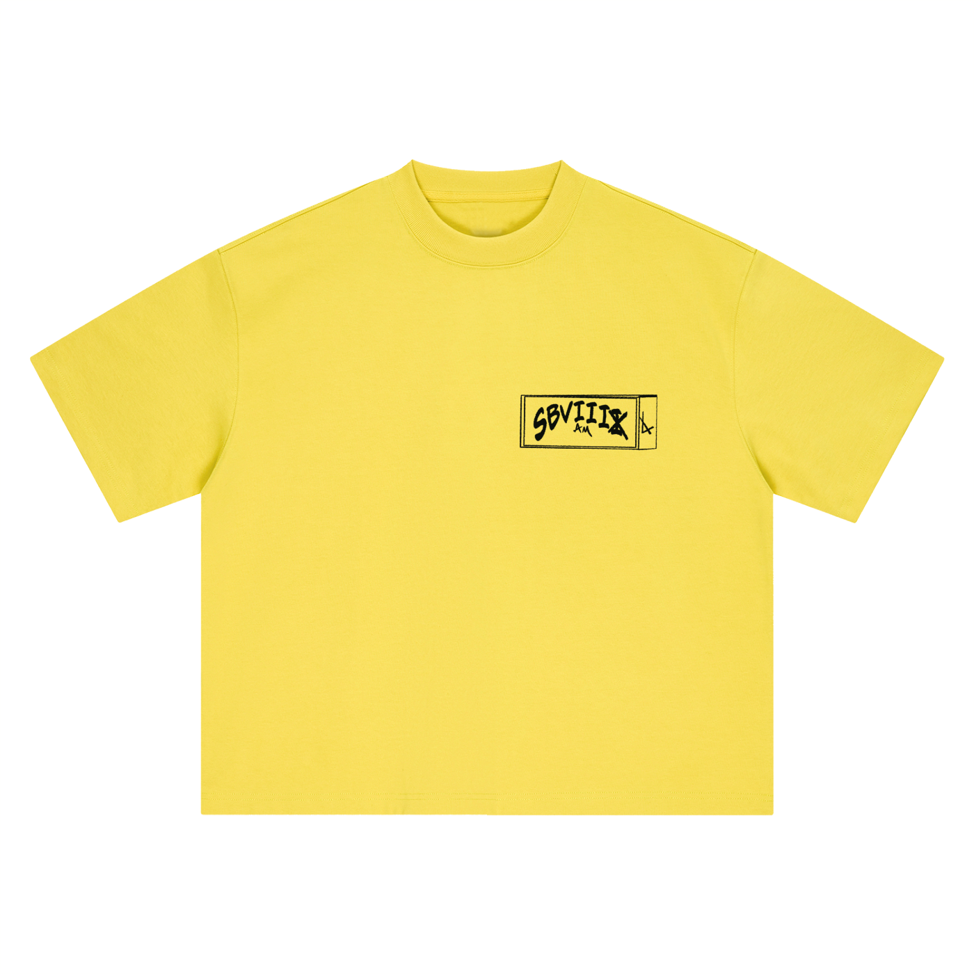 The Box Logo Boxy Oversized T-Shirt